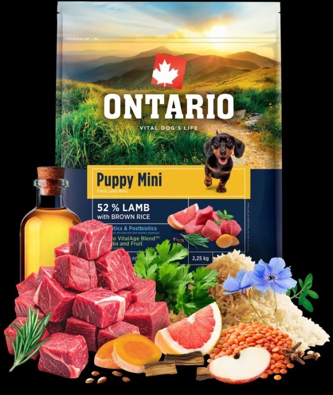 Ontario Puppy Mini Lamb & Brown Rice 2,25kg